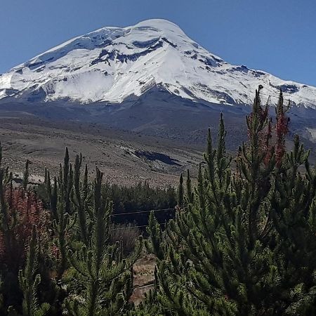 Hospedaje Chimborazo Exterior photo