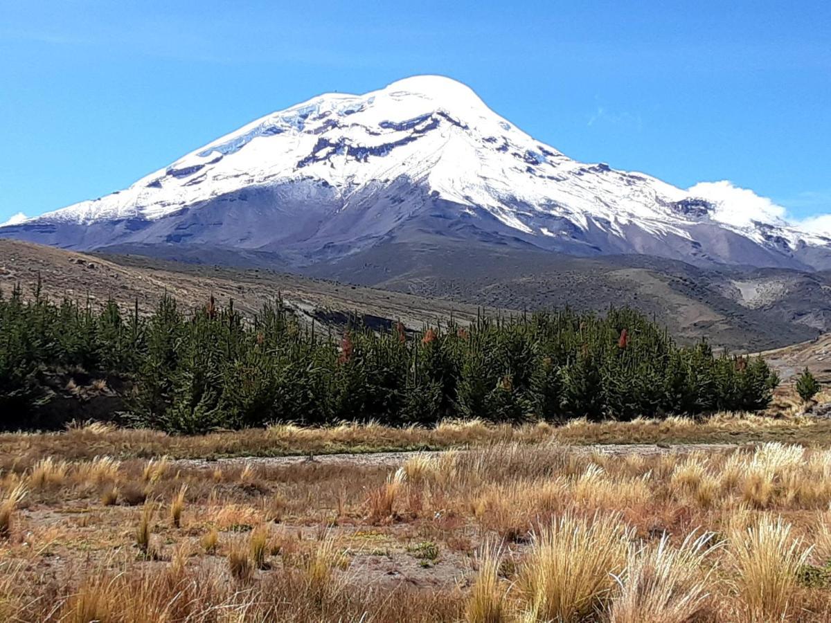 Hospedaje Chimborazo Exterior photo