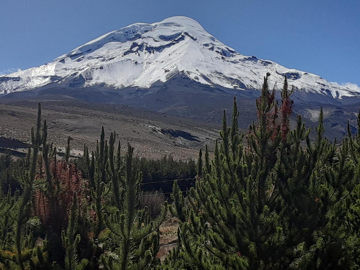 Hospedaje Chimborazo Exterior photo